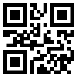 Il Qr Code di 3913040979