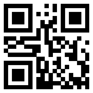 3913041016 - Immagine del Qr Code