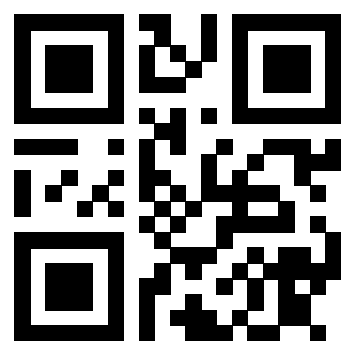 3913041058 - Immagine del QrCode associato