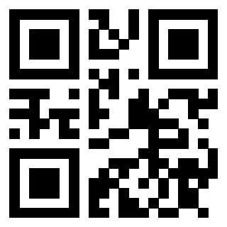 3913041105 - Immagine del QrCode associato