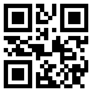 3913041106 - Immagine del QrCode