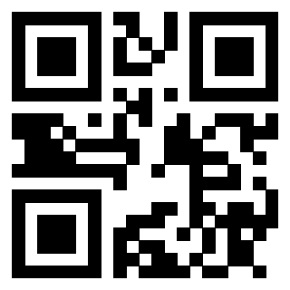 3913041107 - Immagine del QrCode