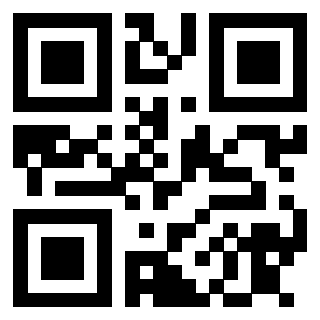 3913041110 QrCode associato