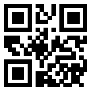 3913041119 Qr Code associato