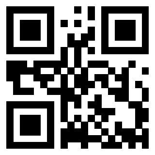 3913041127 QrCode associato