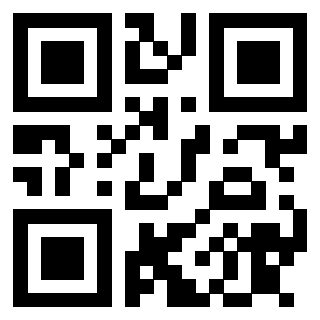 3913041160 Qr Code associato