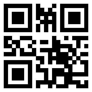 Il Qr Code di 3913041206