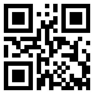 Il Qr Code di 3913041208