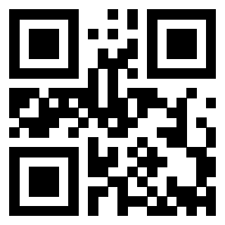 3913041211 - Immagine del QrCode