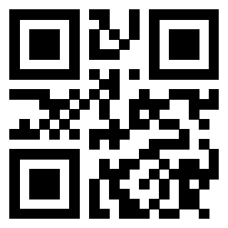 Il Qr Code di 3913041264