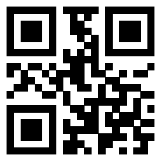 Il Qr Code di 3913041292