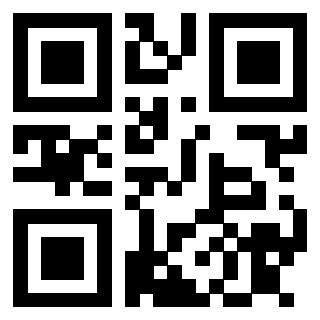 3913041304 QrCode associato