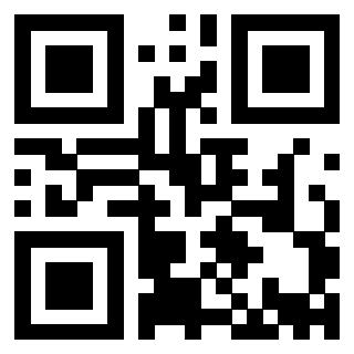 QrCode di 3913041313