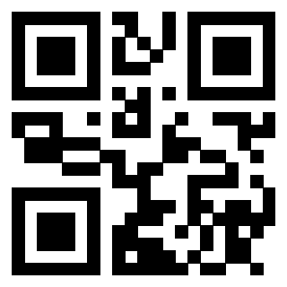 QrCode di 3913041317