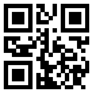 3913041325 Qr Code associato