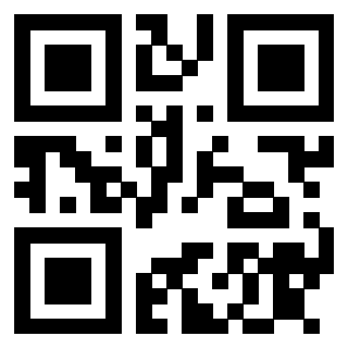 3913041343 QrCode associato