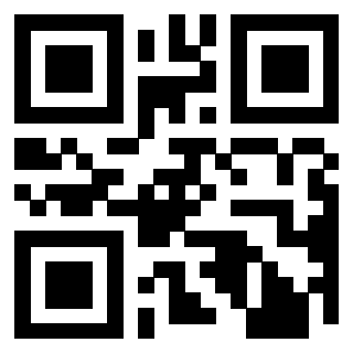 Il Qr Code di 3913041377