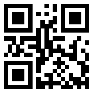 Il Qr Code di 3913041482