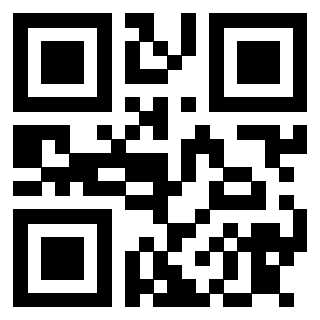 3913041520 QrCode associato