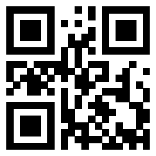 Il Qr Code di 3913041593