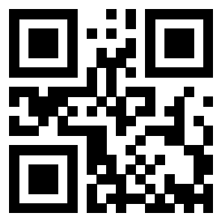 QrCode di 3913041594