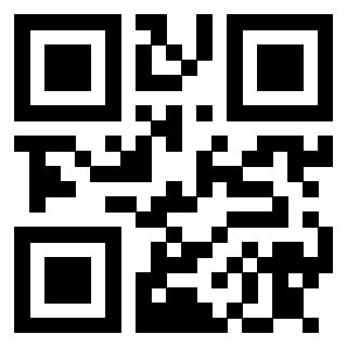 3913041600 QrCode associato