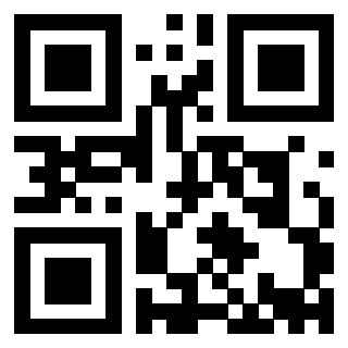 Il Qr Code di 3913041613