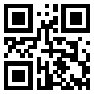 Il Qr Code di 3913041663