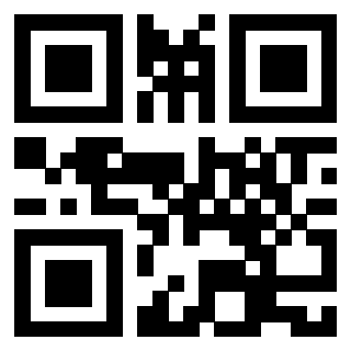Il Qr Code di 3913041674