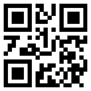 Il Qr Code di 3913074786