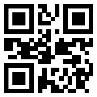 Il Qr Code di 3913074843