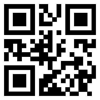 Il Qr Code di 3913074958