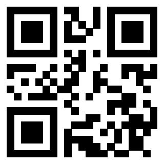 Il Qr Code di 3913074996