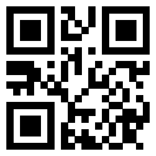 Il Qr Code di 3913075043