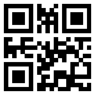 QrCode di 3913075068