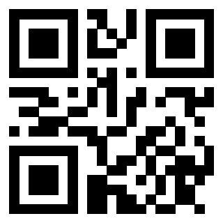 Il Qr Code di 3913075169