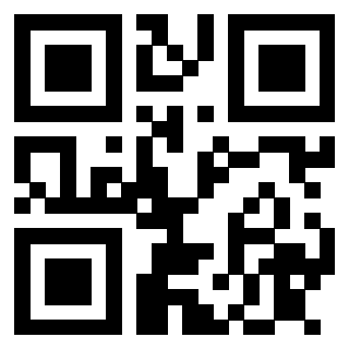 QrCode di 3913075207