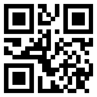 Il Qr Code di 3913075245