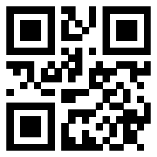 Il Qr Code di 3913075270