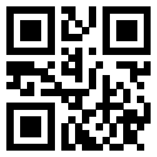 QrCode di 3913075305