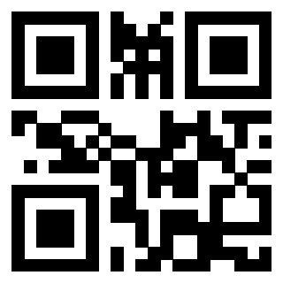 Il Qr Code di 3913075316