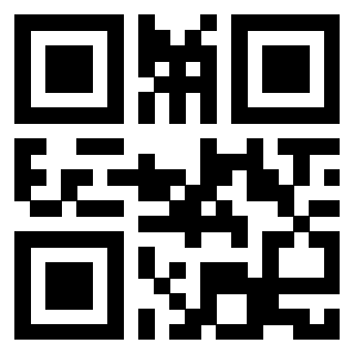 Il Qr Code di 3913075324