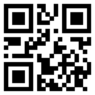 QrCode di 3913075325