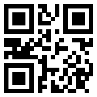 3913075333 QrCode associato