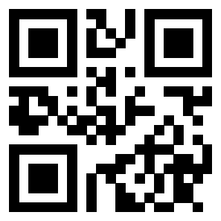 Il Qr Code di 3913075335
