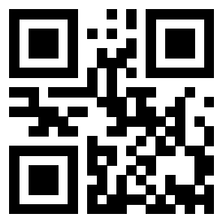 QrCode di 3913075355