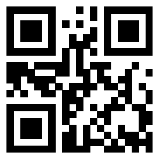 QrCode di 3913075389