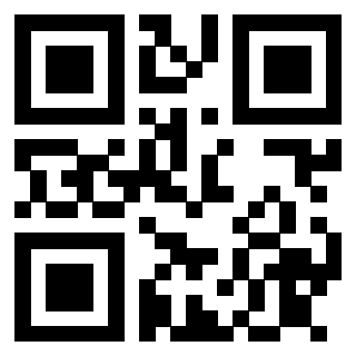QrCode di 3913075393