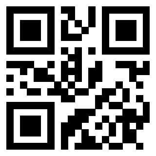 Il Qr Code di 3913075478
