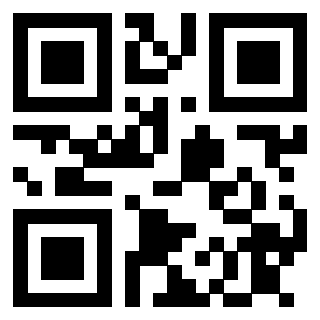 Il Qr Code di 3913075582